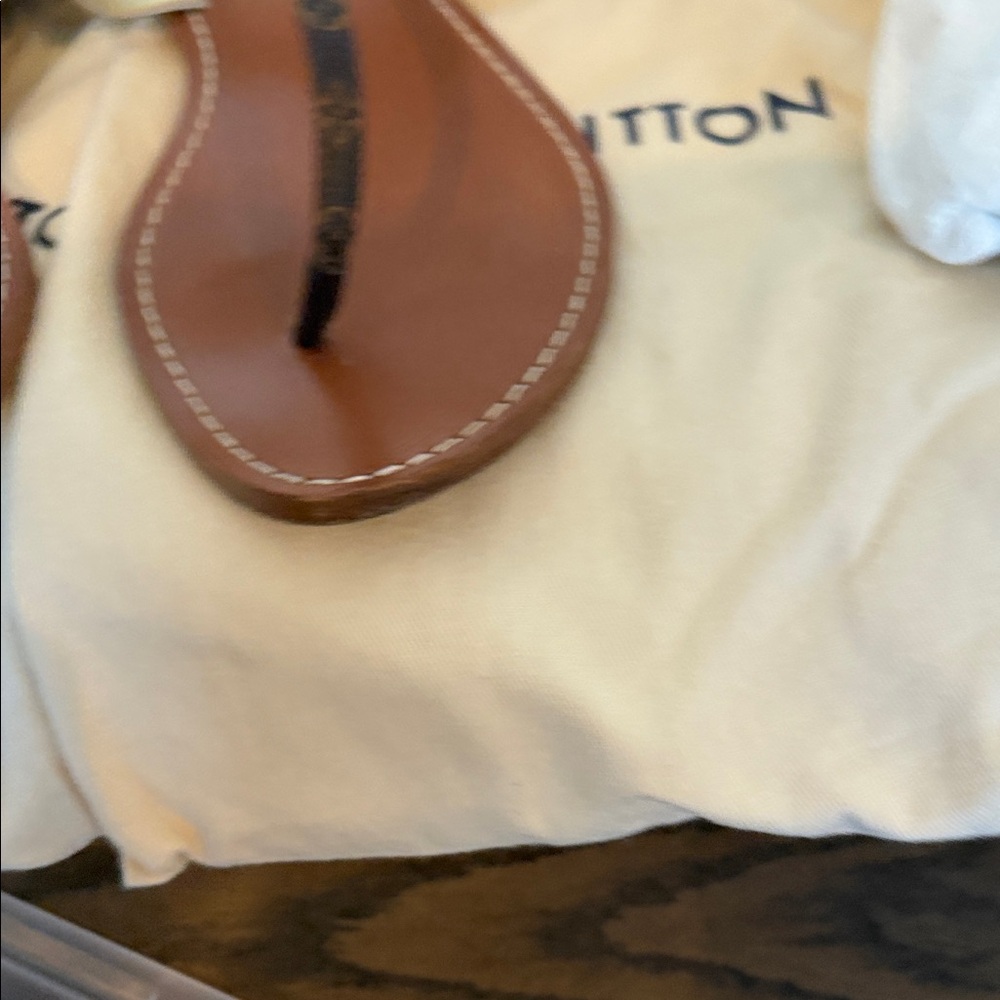 Louis Vuitton Silver and Brown Sandals - Picture 4 of 5